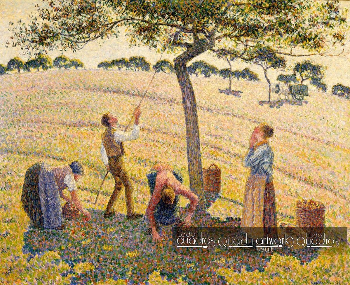 Apple Harvest, Pissarro
