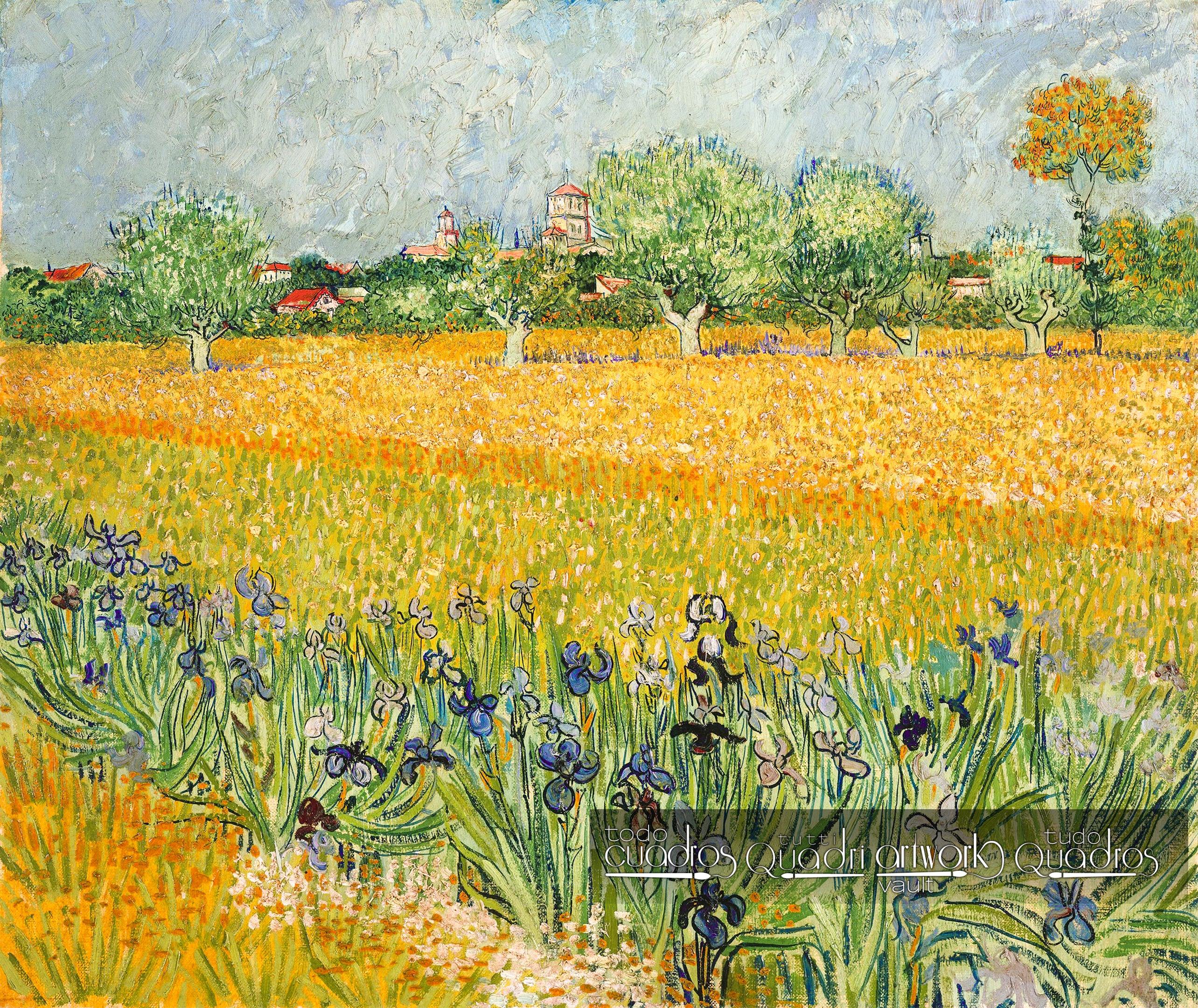 Field with Irises near Arles, Van Gogh